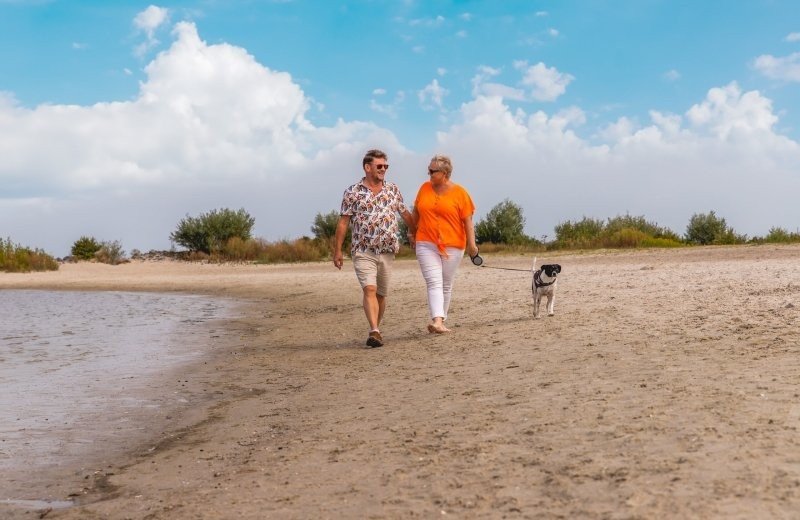 Op vakantie met je hond?