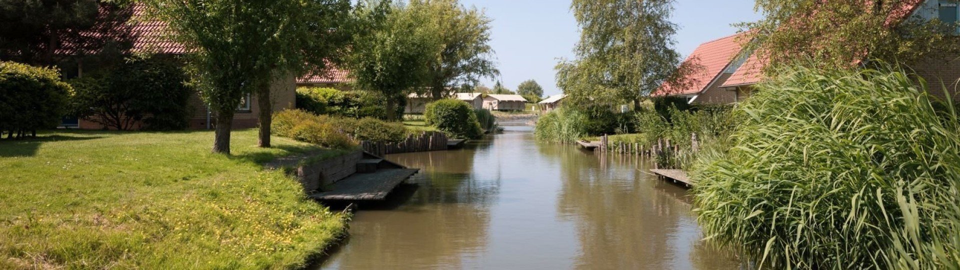 Vissen ijsselmeer water