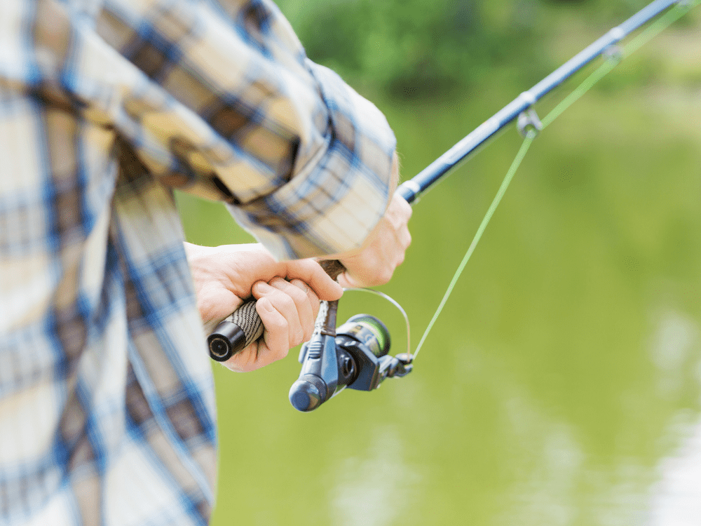 Prachtige vislocatie